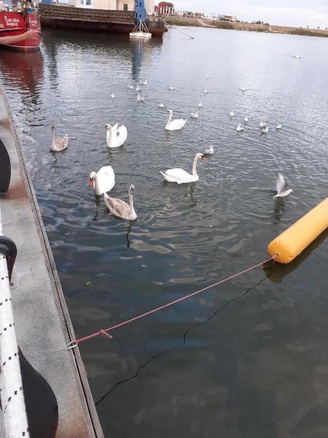 Lake View Constanta Ngoại thất bức ảnh